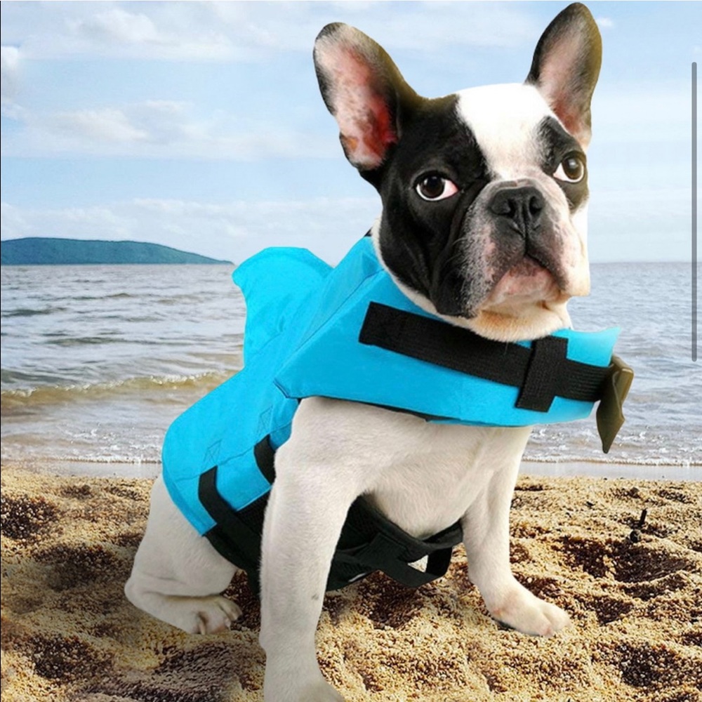 COPY - Dog safety vest